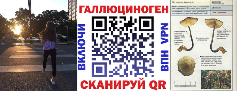 купить  цена  Межгорье  Галлюциногенные грибы прущие грибы 